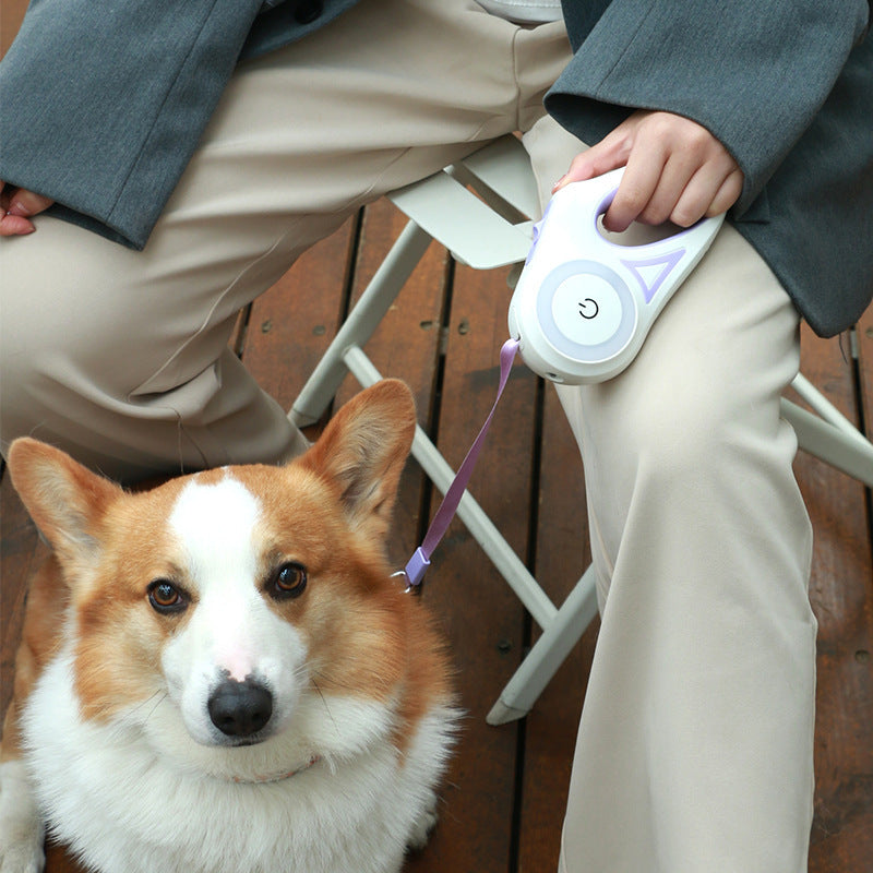 Retractable Dog Leash with Collar – Automatic Pet Lead (Available)
